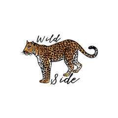 Wild side slogan. Leopard. Typography graphic print, fashion drawing for t-shirts. Vector stickers,print, patches vintage