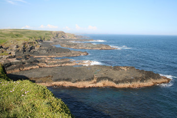 beautiful coastline at the nobbies, phillip island, victoria