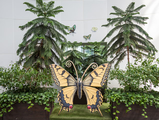 Butterfly Ecology Park