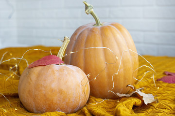 Orange pumpkins with autumn leaves and a garland on a mustard plaid in the bright interior of the room. Symbol of Autumn, Halloween and Thanksgiving Day