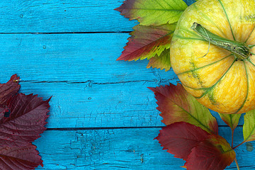Fototapeta na wymiar autumn background. pumpkin and leaves on a blue wooden background