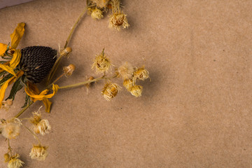 Brown kraft paper with dried flowers
