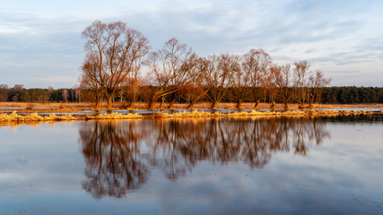 Rozlewiska w Dolinie Narwi