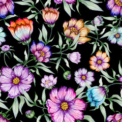 Beautiful colorful cosmos flowers with leaves on black background. Seamless floral pattern.  Watercolor painting. Hand painted botanical illustration.
