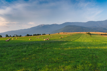 Landscape view of a beautiful golden hay bale field in late summer or early autumn with mountains in the background, golden hour. Continental Croatia, Europe. 