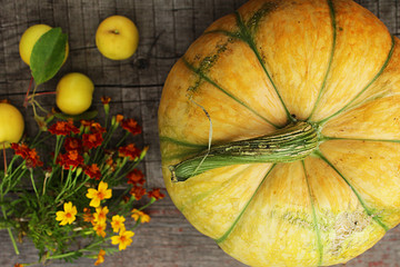 Fresh pumpkins decorated flower on wooden table, top view