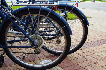 Close Up of Bike Tires in Front of Green Lawn and Suburban Decorative Sidewalk