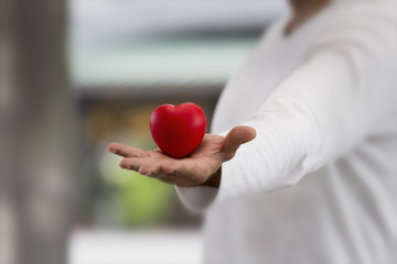 close up of red hart in man's hand for give to someone to love, give love sincerely, happy and romantic