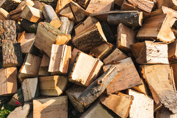 View of firewood or logs for winter. 