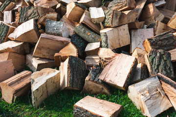 View of firewood or logs for winter. 
