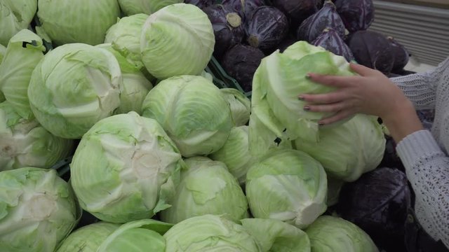 A girl chooses a cabbage at the market