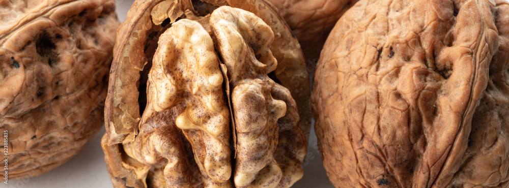 Wall mural large walnuts on white background - Wall murals