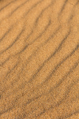 Fototapeta na wymiar texture desert sand dunes, barkhans and lines