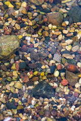 Pebbles on the bottom of a shallow pond