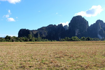 View of the meadow and mountains at Vang Vieng, Laos