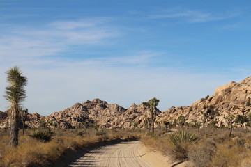 dust road sand strasse ins nichts