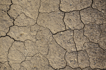 Ground dry dirt background when dry and summer season in countryside.