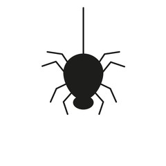 Black Spider bug of icon for the helloween