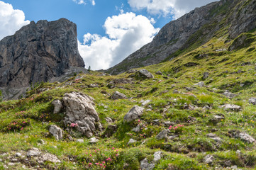 Mountain scene of the Italian Dolomites, near the Giau Pass, on a Summer Afternoon.