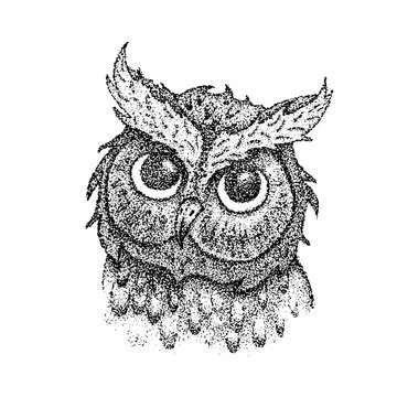 Dotwork Owl Head