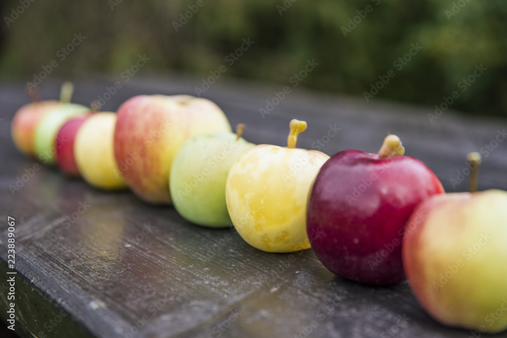 Wall mural shallow depth of field of many different color, shape and size apples in a row on wooden table, natu