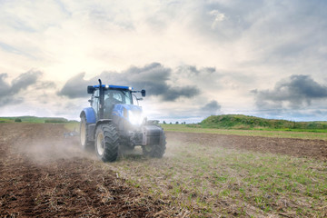 Fototapeta premium travail au coucher du soleil