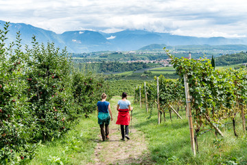 zwei Wanderer durch Weinreben in Südtirol