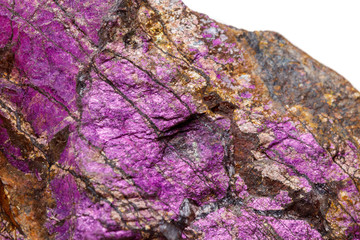 Macro mineral stone purpureus, (purple) purpurite in the breed a white background