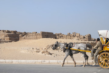 A cart on the background of the ruins in the desert