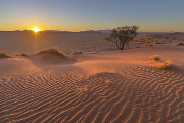 Sun starburst sunset at the dunes