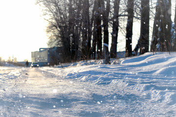 lanscape alley tree winter