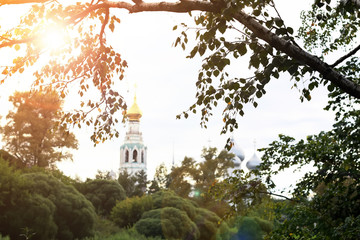 spring cathedral sunset tree