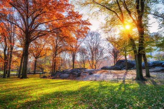 Central park in New York City at autumn morning, USA