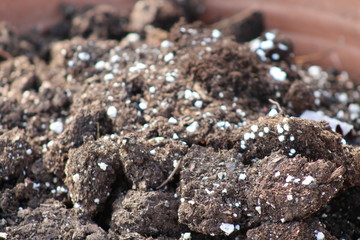 Soil