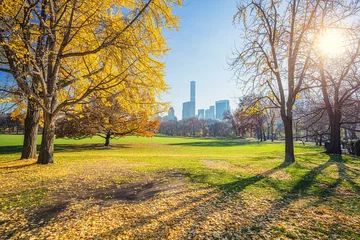 Central park in New York City at sunny autumn day, USA © sborisov