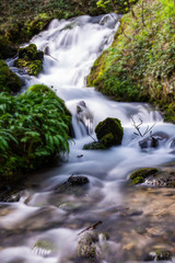 waterfall in forest - 223896889