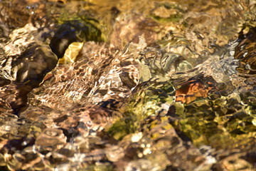 River Waves