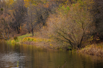 beautiful view of the river on the background of the autumn forest. Cool autumn day in the wood