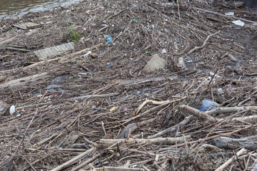 Wood debris left over from flood