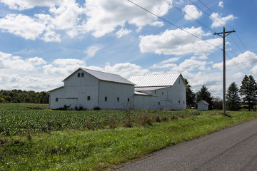 Large white barn with crops
