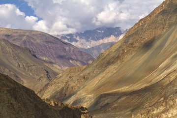 High-mountainous species Northern India, Ladakh