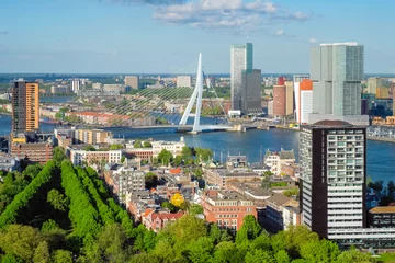 Poster Gezicht op de stad Rotterdam en de Erasmusbrug © Dmitry Rukhlenko