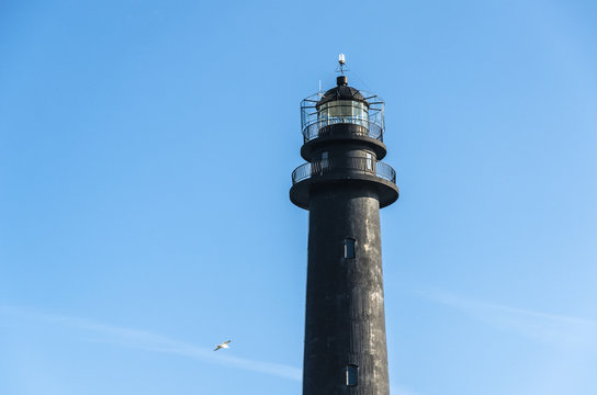 A bird circles a lighthouse beacon against a clear blue sky. Photo taken at the Sorve Lighthouse in Saaremaa, Estonia 
