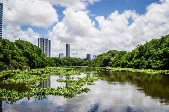 Cities of Brazil - Recife, PE
