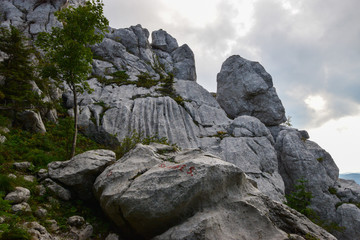 Bijele stijene (White Rocks) is a nature reserve in Croatia famous for its amazing topography. Karst rock formations similar to the stone forest (e.g. Shilin, China) with hundreds of rock pillars.