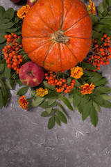 Autumn still life with a pumpkin on a gray background