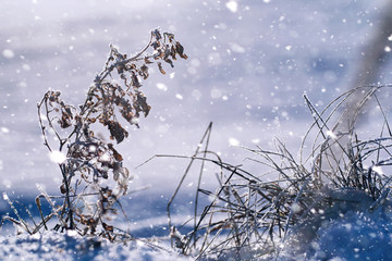 Texture of ice in winter. Pieces of frozen water on a street in 