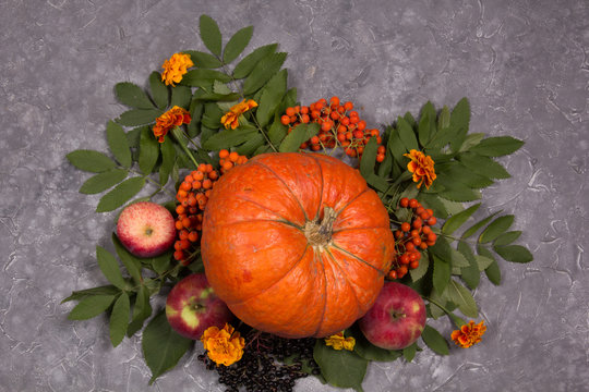 Autumn still life with a pumpkin on a gray background