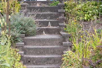stairs in the garden, Halifax, summer, no people, stone stairs.
