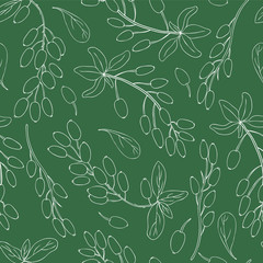 Seamless pattern Barberry hand drawn branch vector sketch isolated on green background, white line art berry, Natural spicy herb, cooking ingredients for design package tea, cosmetic, medicine, fabric
